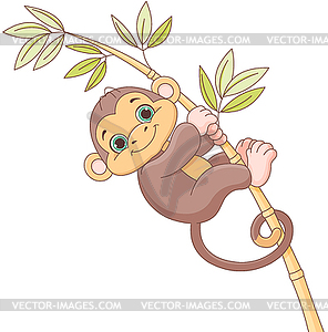 Baby Monkey - royalty-free vector image