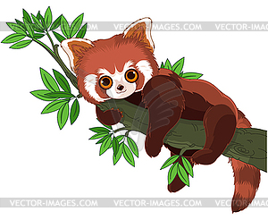 Red Panda - vector EPS clipart