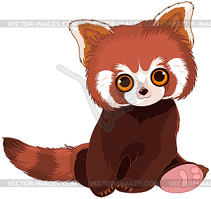 Red Panda Portrait - vector clipart