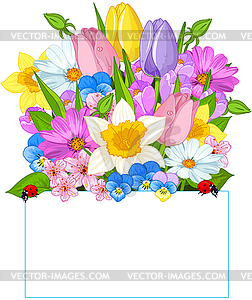 Colorful Fresh Spring Flowers - vector clipart