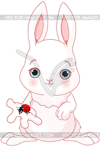 Cute Bunny Holds Lady Bug - vector clip art