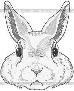 Cute Bunny - vector image