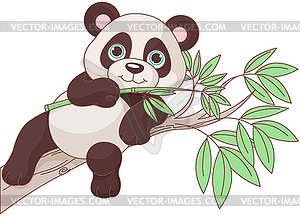 Baby Panda - vector image