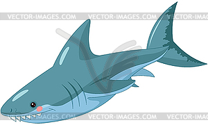 Shark - vector clipart / vector image