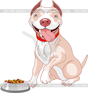 Hungry Pit-bull - vector image