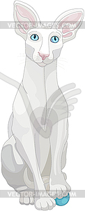 Ornate White Cat - vector clipart