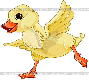 Baby Duck - vector image