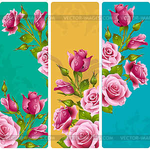 Pink rose frames. Vector set of floral vertical - vector clipart