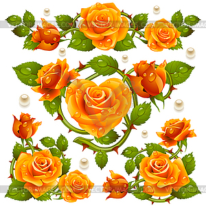 Vector yellow Rose design elements isolated on whit - vector clipart