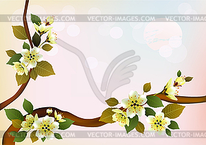 Evening in the garden blooming cherry   . Sakura . - vector clip art