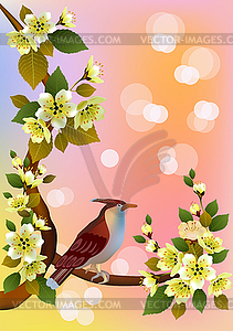 Sakura , bird . postcard . - vector image