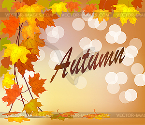 Autumn foliage vector sale banner - vector clipart