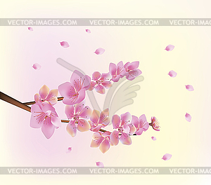 Sakura.Evening in the garden blooming cherry - vector clip art