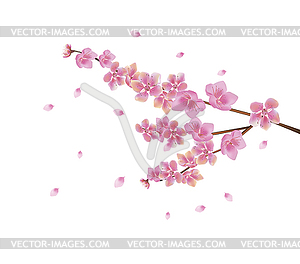 Sakura.Evening in the garden blooming cherry - vector image