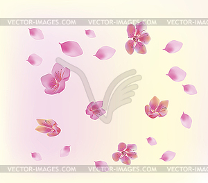 Sakura.Evening in the garden blooming cherry - vector clipart