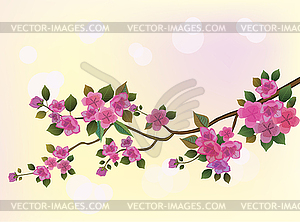 Evening in the garden blooming cherry and birds sing - vector clipart