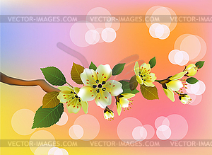 Evening in the garden blooming cherry and birds sing - vector image