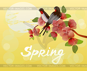 Nature background with blossom branch of pink sakur - vector clip art