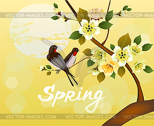 Nature background with blossom branch of pink sakur - vector image