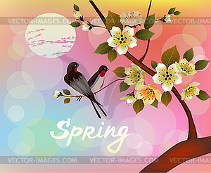 Nature background with blossom branch of pink sakur - vector clipart