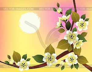 Nature background with blossom branch of pink sakur - vector clipart