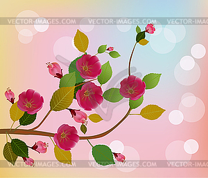 Nature background with blossom branch of pink sakur - vector clip art