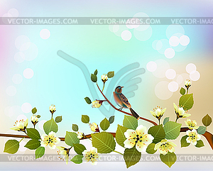 Nature background with blossom branch of pink sakur - vector clip art
