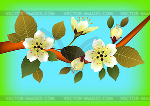 Nature background with blossom branch of pink sakur - vector clipart