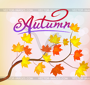 Autumn foliage vector sale banner - color vector clipart