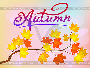 Autumn foliage vector sale banner - vector image