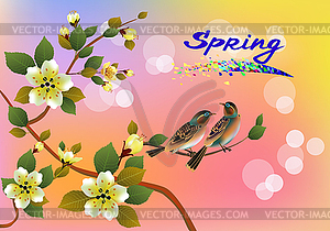 Nature background with blossom branch of pink sakura fl - vector image