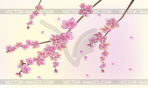 Vector sakura  . postcard . menu. - stock vector clipart