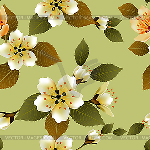 Бесшовный весенний фон с белыми цветами с gree - векторный клипарт Royalty-Free