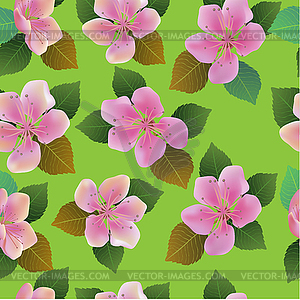 Seamless spring background with white flowers with gree - vector clipart