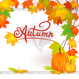 Vector banner Pumpkin on a background of yellow and ora - vector clipart