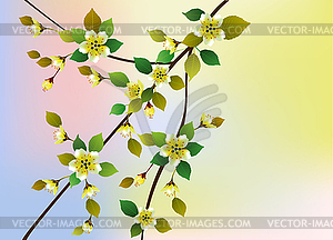 Spring. All wakes up, flowers sakura blossom . - vector clip art