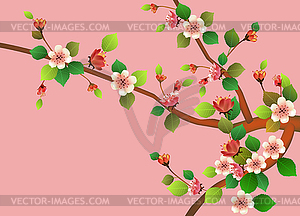 Spring. All wakes up, flowers sakura blossom . - vector clip art