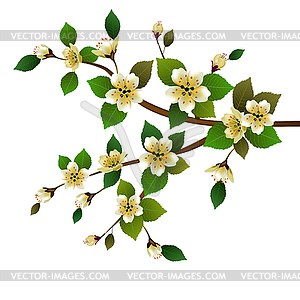 Spring. All wakes up, flowers sakura blossom . - vector EPS clipart