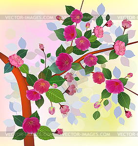 Spring. All wakes up, flowers sakura blossom . - vector image