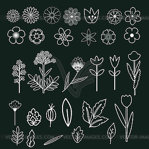 Decorative flowers set - vector clipart