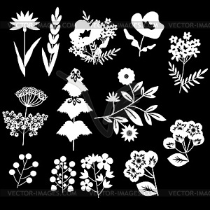 Flowers decorative set - vector image