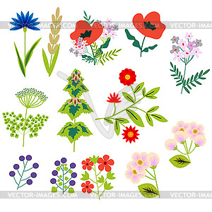 Flowers decorative set - vector clipart / vector image