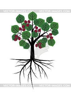 Mulberry абстрактное дерево - изображение векторного клипарта