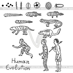 Эволюция человека - векторное изображение
