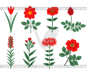 Red flowers set - vector clipart / vector image