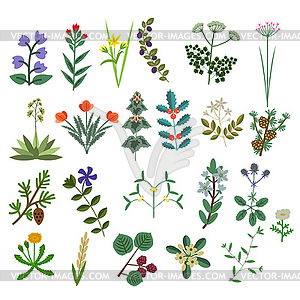 Set of Decorative Flowers - vector image