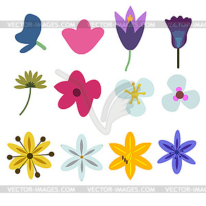 Flowers set - vector image