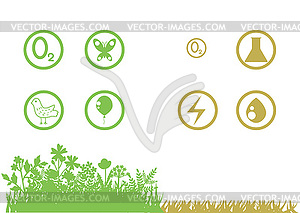 Field and lawn - vector image