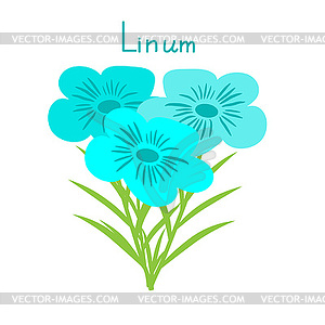 Flax flowers bunch - vector image