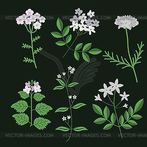 Decorative flowers set - vector image